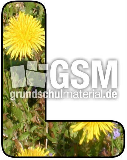 Blumenbuchstabe-L.jpg